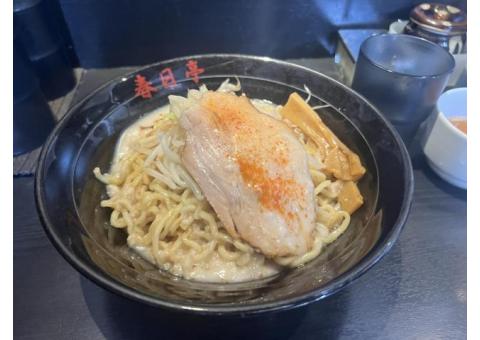早稲田大学理系学部在学中