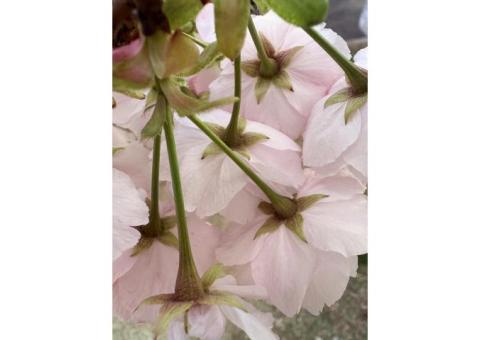 細かな理解を積み重ねていきます