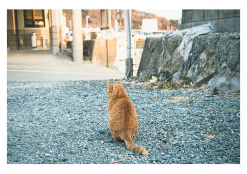一方的な指導ではなくともに歩む指導を