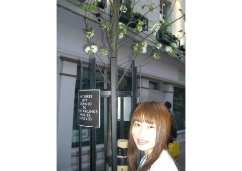 わかりやすく楽しく身につく英語・フランス語・学校や試験対策まで！♪