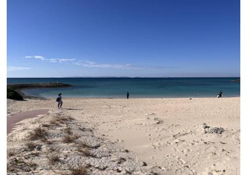 豊富な経験を活かした個人指導