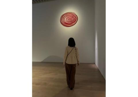 楽しく学べます！