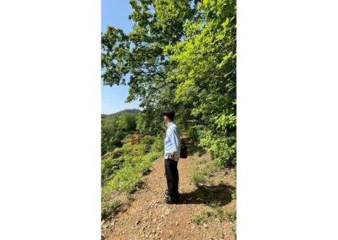 【現役東大生・指導経験あり・無料体験授業】オンラインで効率最大化！iPad板書で「わかる」授業（数・英・日・地）