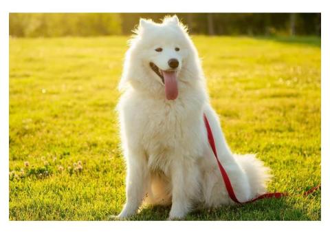 丁寧に楽しく教えます！