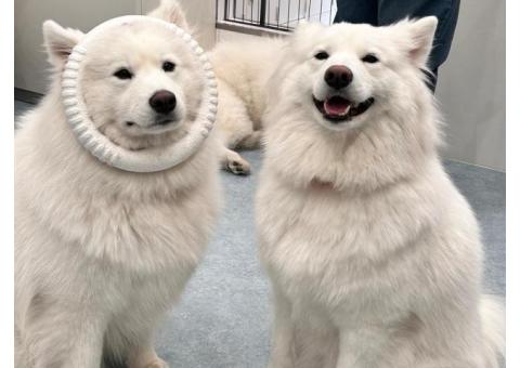 塾バイトと家庭教師の経験があります