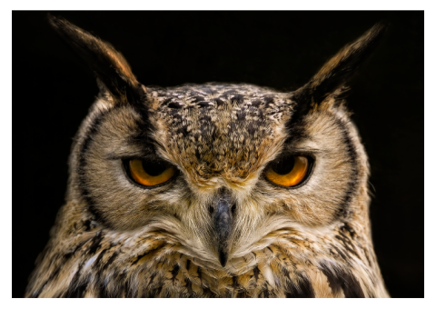 分かりやすく教えます。