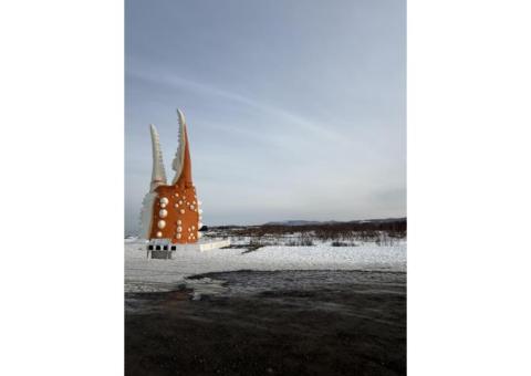 丁寧に教えます