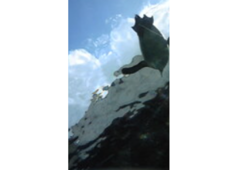 英語が好きになるように楽しく教えます。