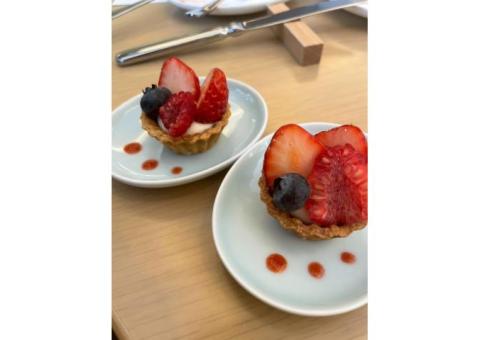 数学、物理、化学、英語はお任せあれ