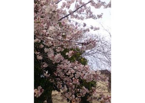 ☆褒めることを基本とします☆