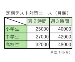 塾なし現役医学部生が丁寧に指導いたします！
